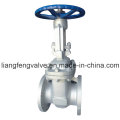 ANSI Flange End Gate Valve com aço carbono RF